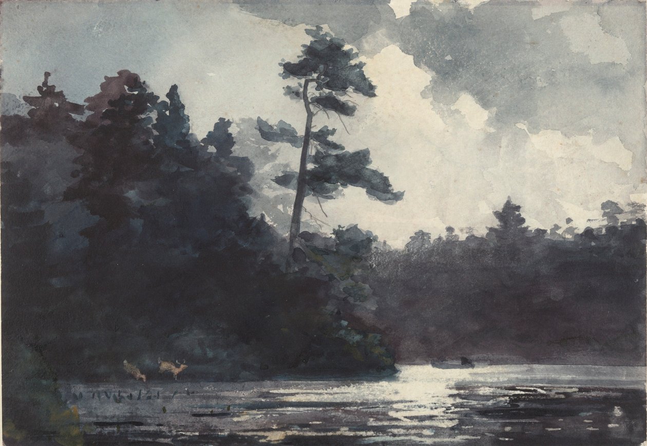 Lago Adirondack de Winslow Homer