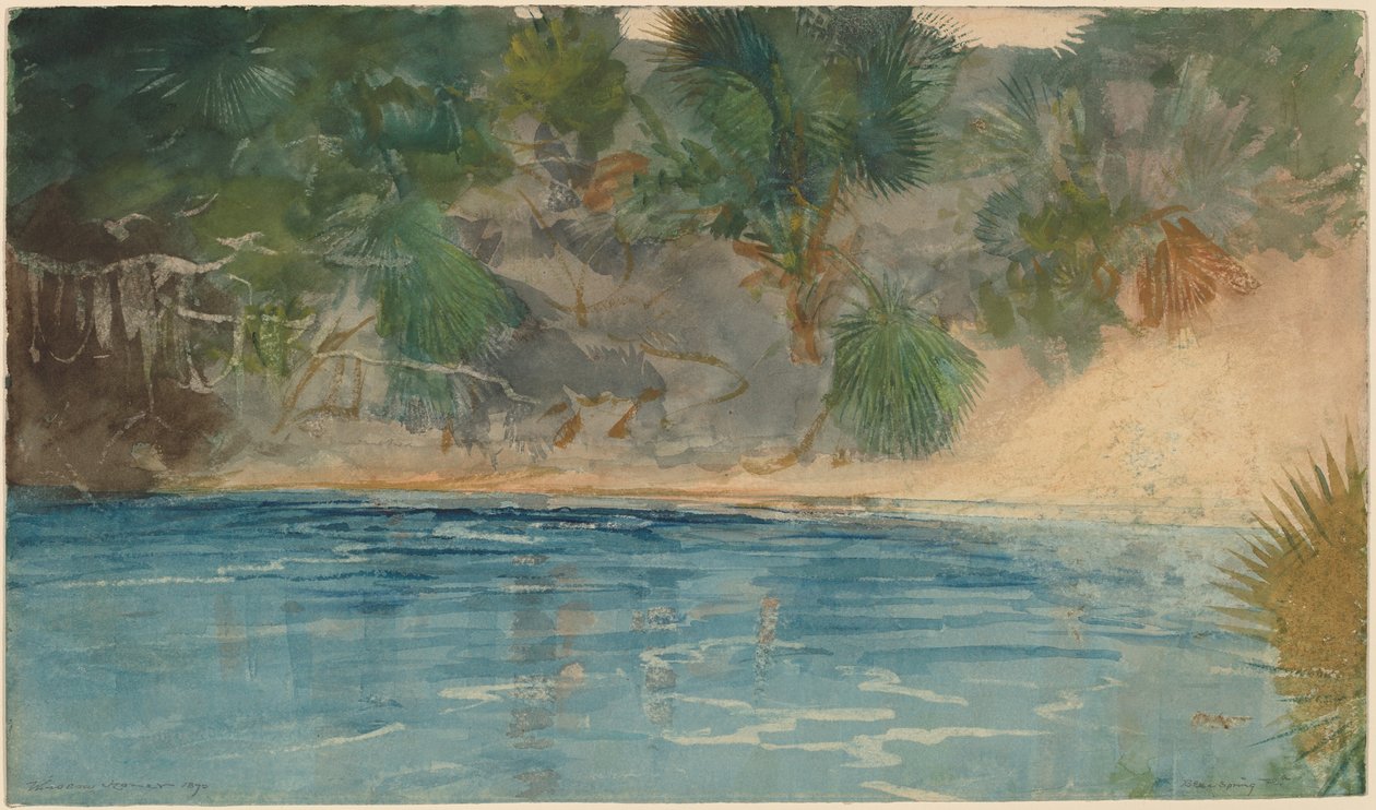 Manantial azul, Florida de Winslow Homer