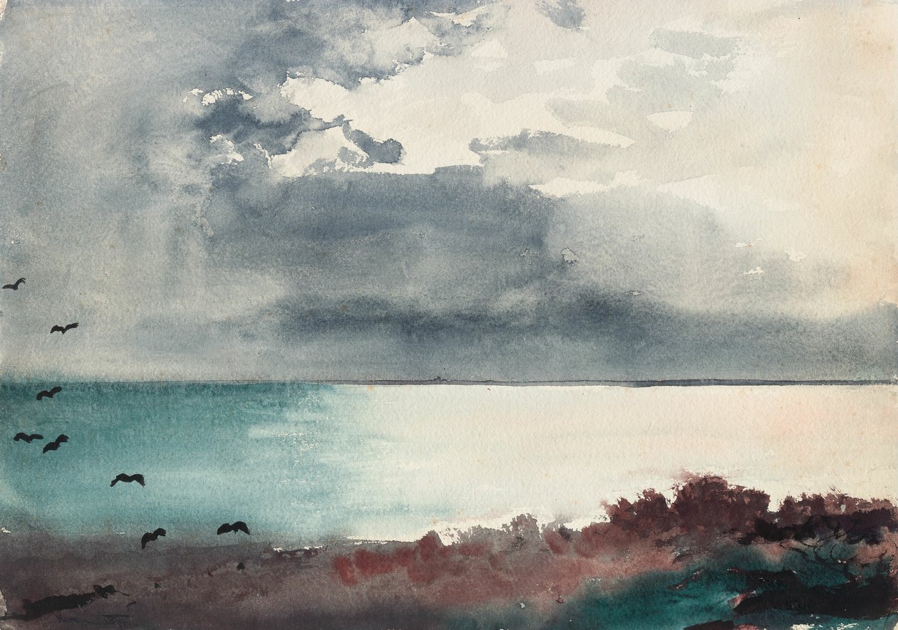 Tormenta, costa de Maine de Winslow Homer