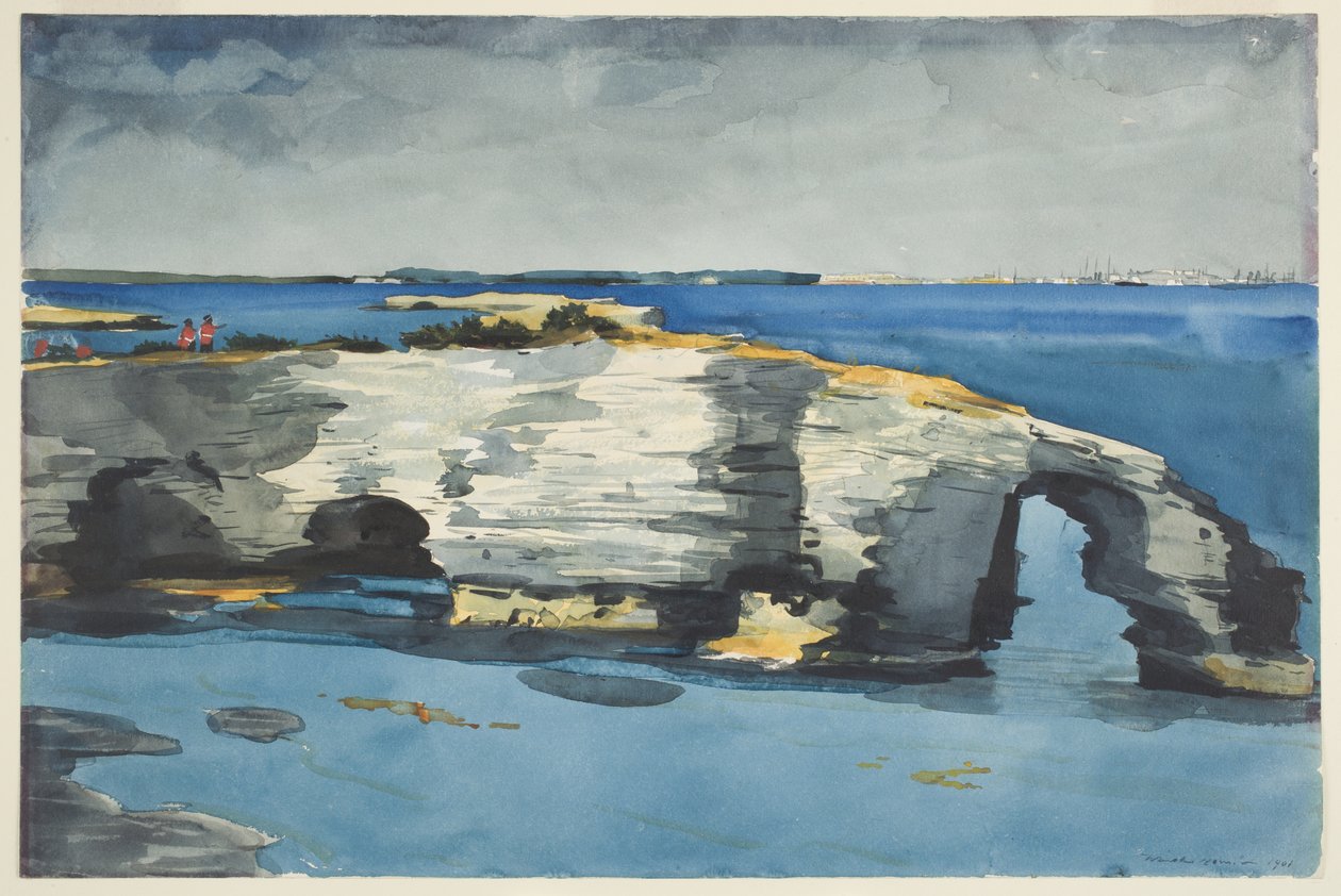 Formación de Coral de Winslow Homer