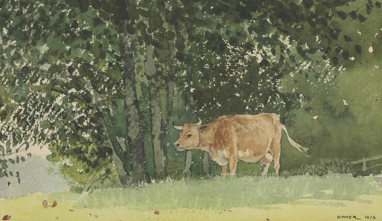 Vaca en los pastos de Winslow Homer