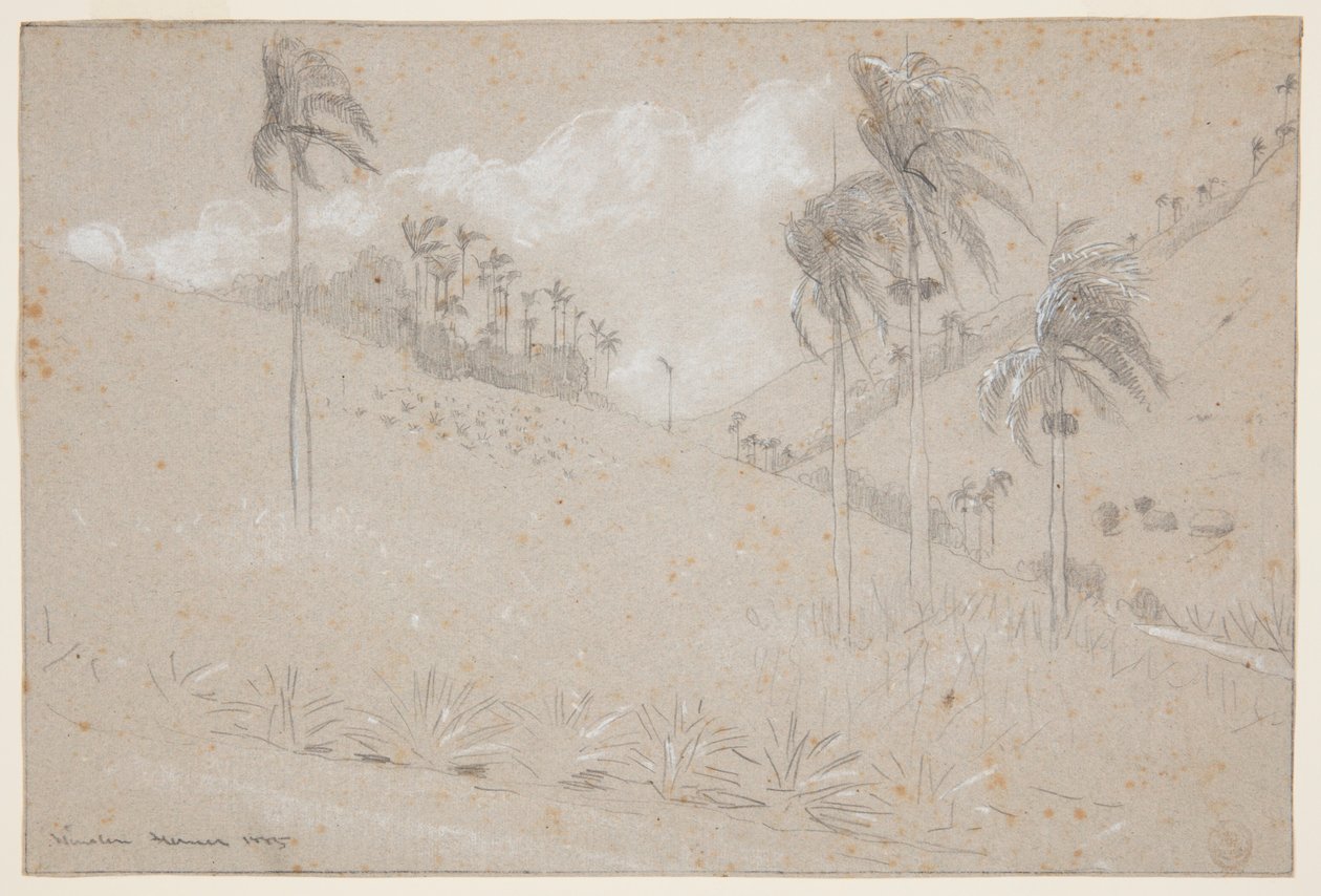 Ladera cubana de Winslow Homer