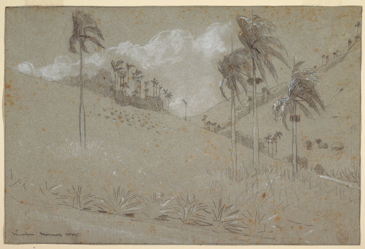 Dibujo, Ladera de Cuba, 1885 de Winslow Homer