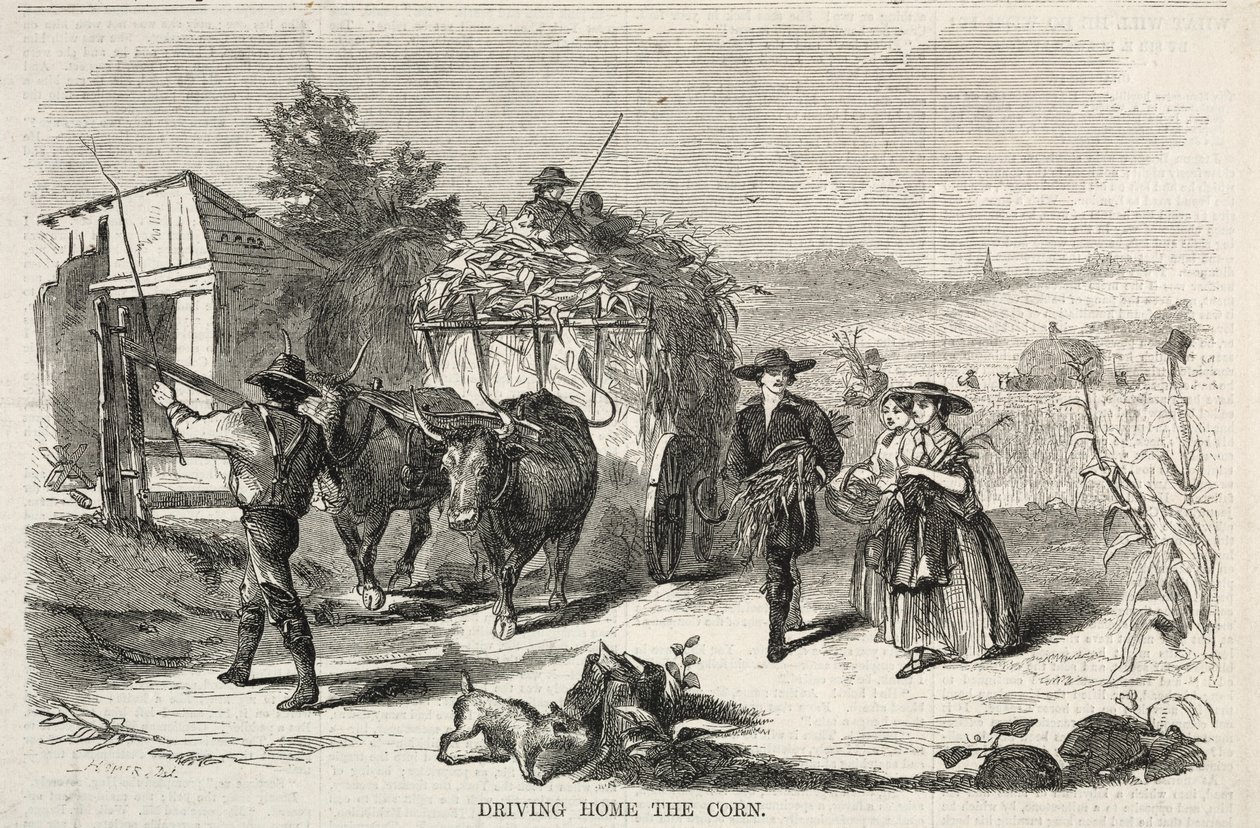 Llevar el maíz a casa de Winslow Homer