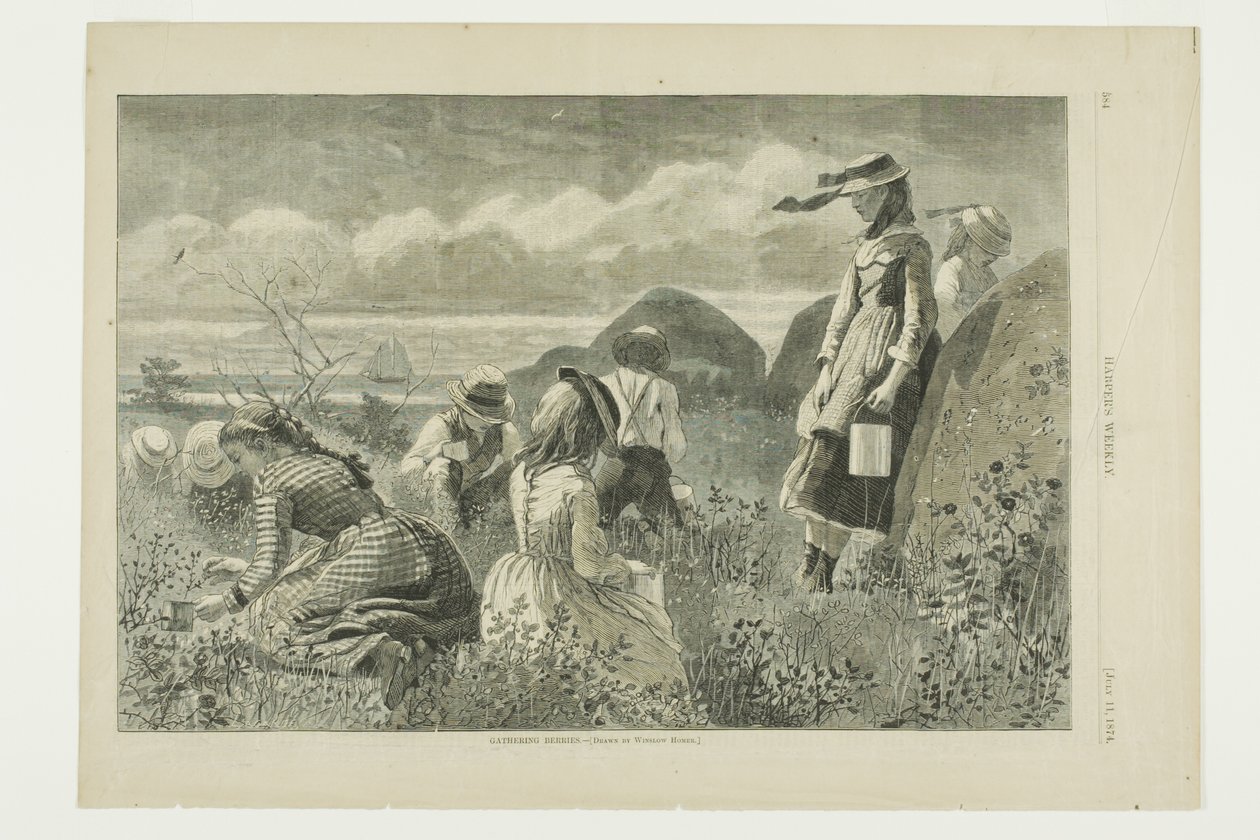 Recogida de bayas de Winslow Homer