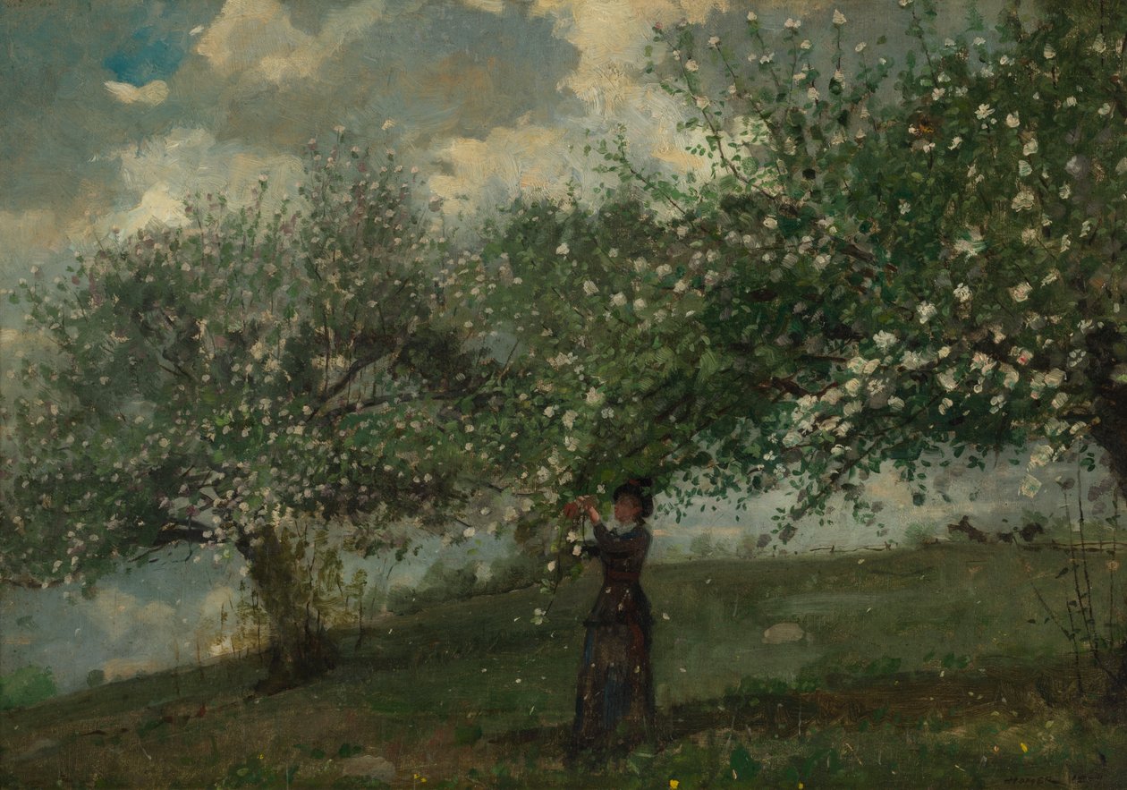 Niña recogiendo flores de manzano de Winslow Homer