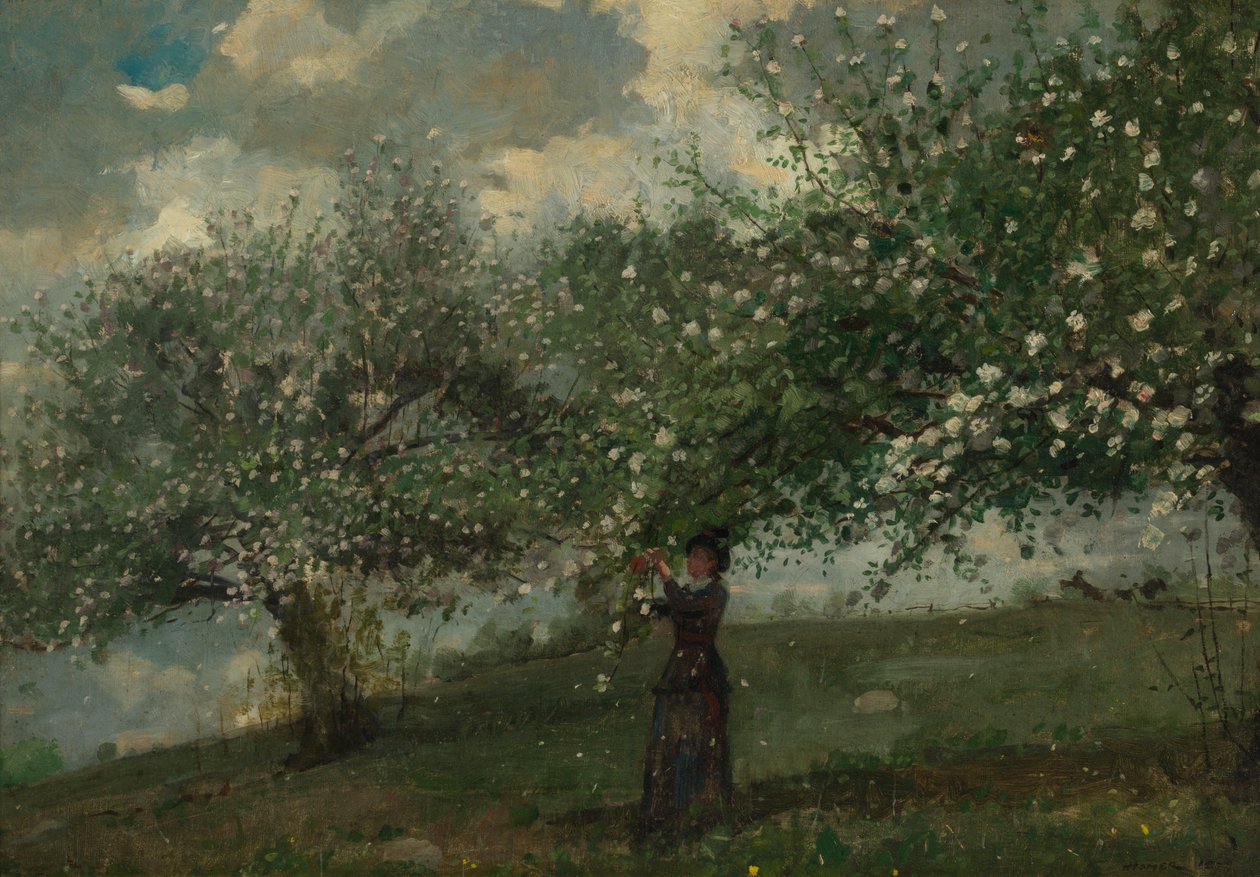 Niña recogiendo flores de manzano de Winslow Homer