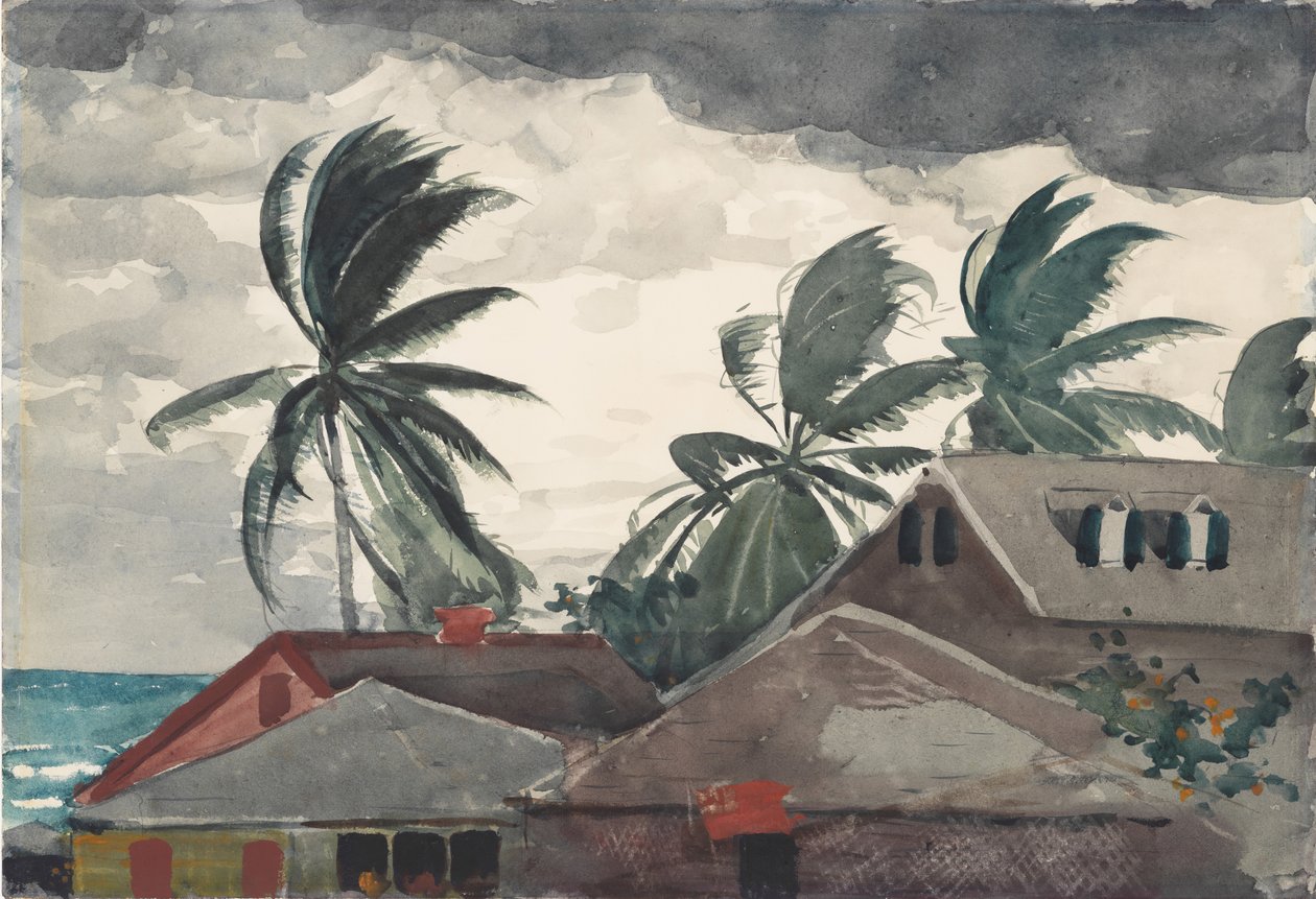 Huracán, Bahamas, 1898 de Winslow Homer