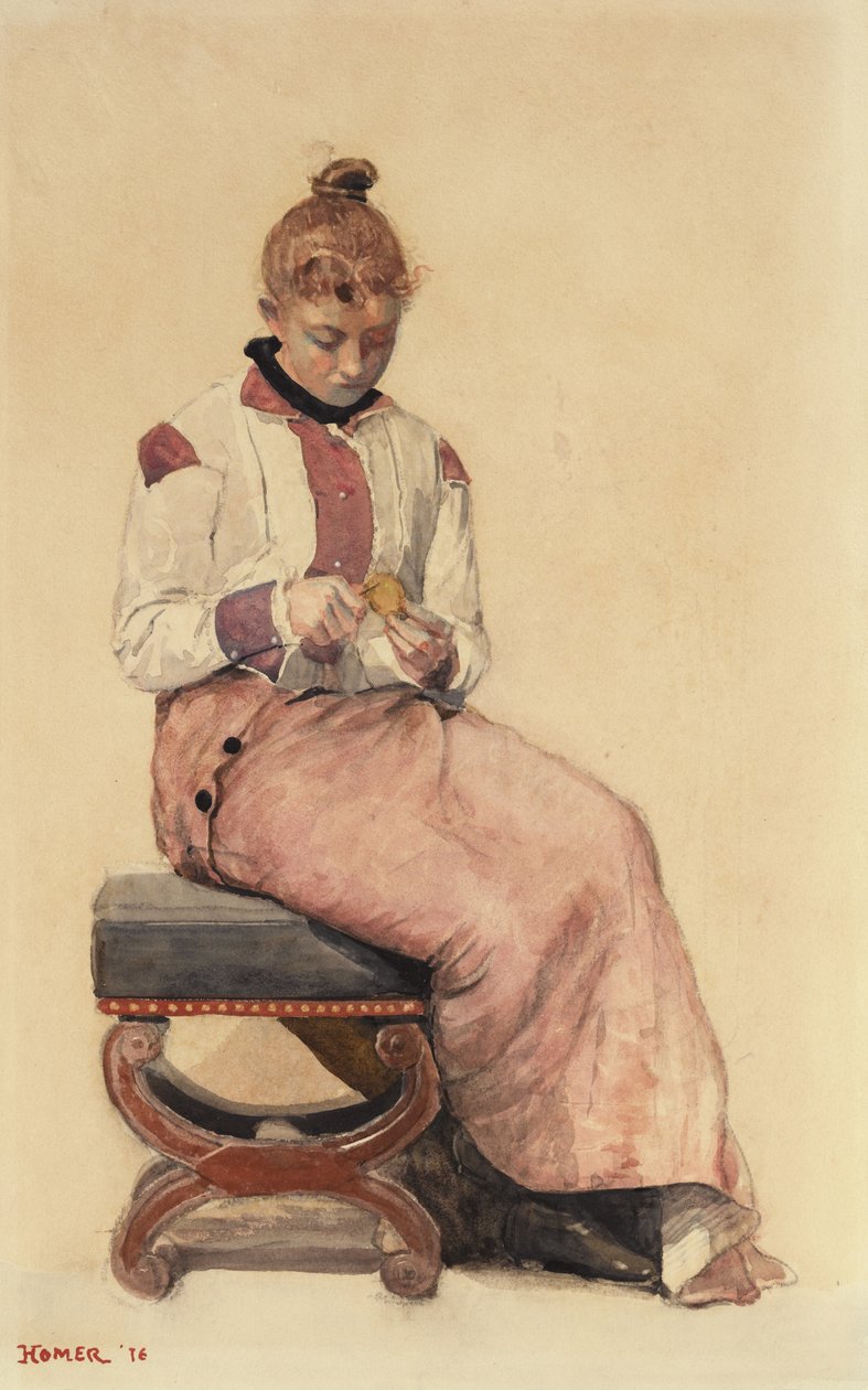 Limón, 1876 de Winslow Homer