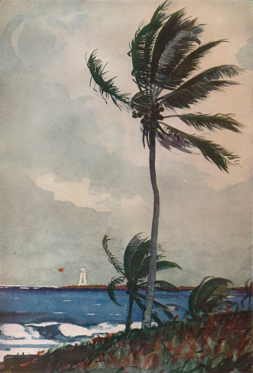 Palmeras, Nassau, 1898, 1932 de Winslow Homer