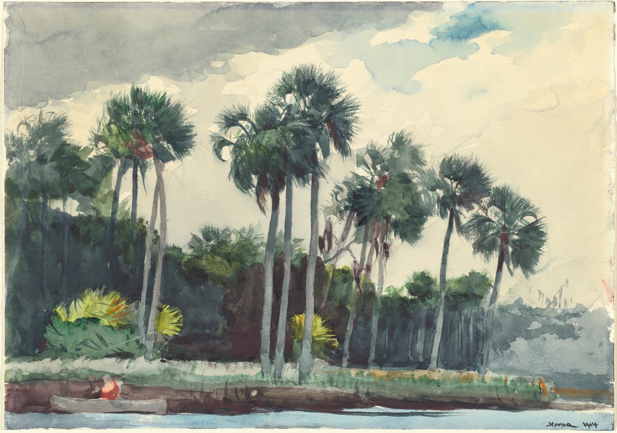 Camisa roja, Homosassa, Florida, 1904 de Winslow Homer