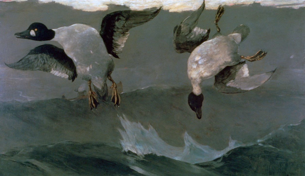 Derecha e Izquierda, 1909 de Winslow Homer