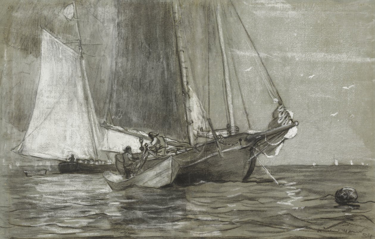 Goleta anclada, 1884 de Winslow Homer