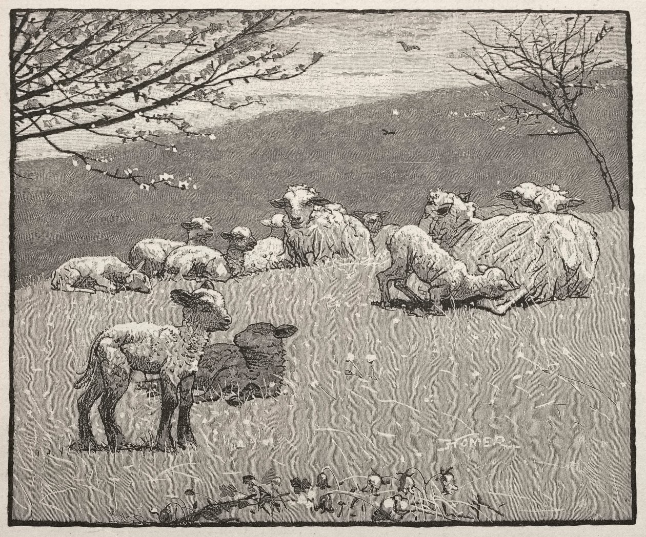 Cordero de Primavera de Winslow Homer