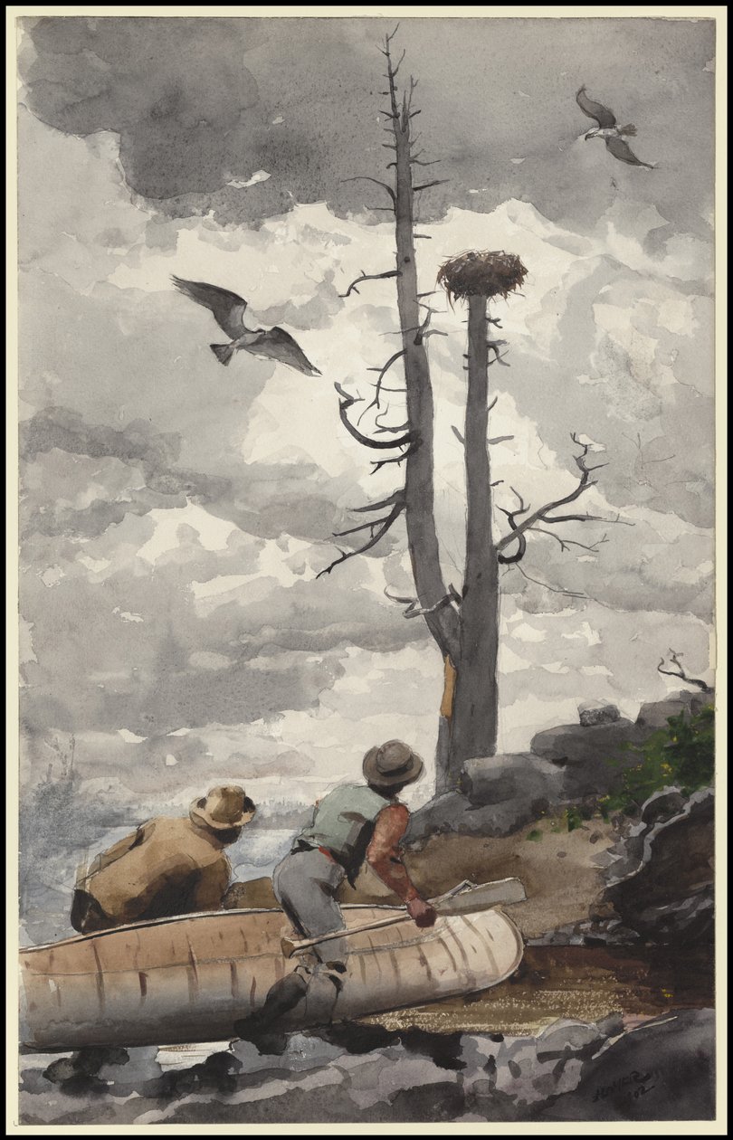 El nido del águila, 1902 de Winslow Homer