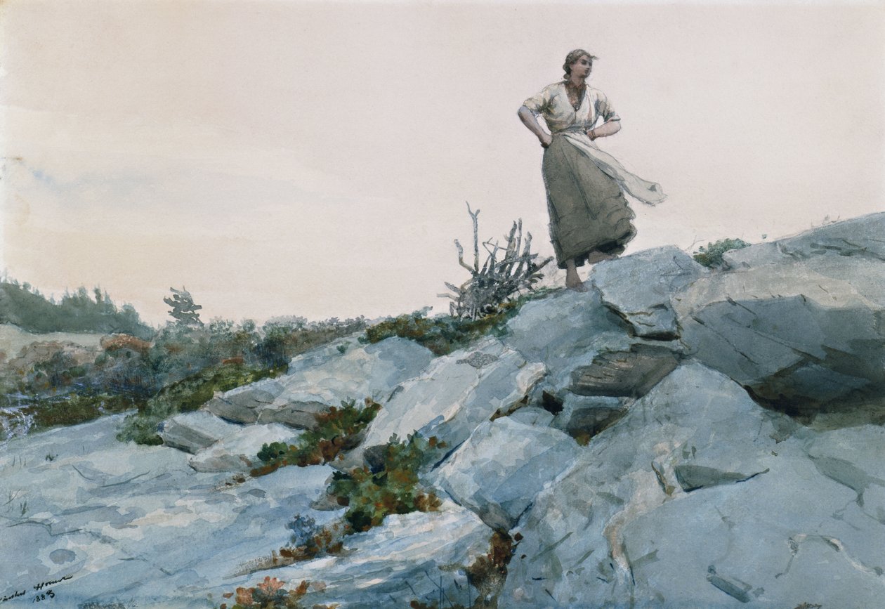 El Recolector de Ramas de Winslow Homer