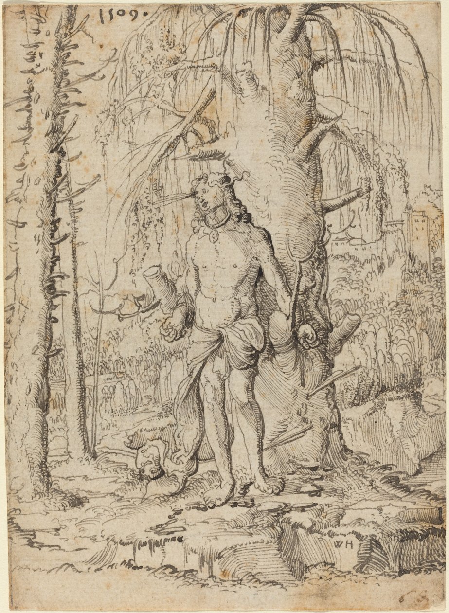 San Sebastián de Wolf Huber