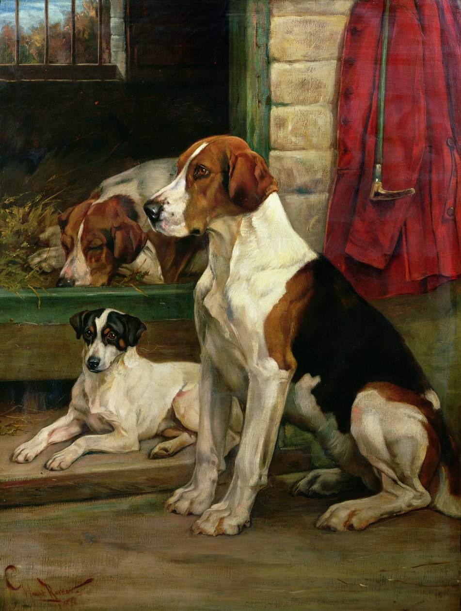 Cerca de las perreras de Wright Barker