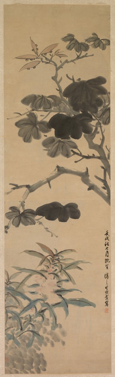 Flowering Plants de Wu Rangzhi