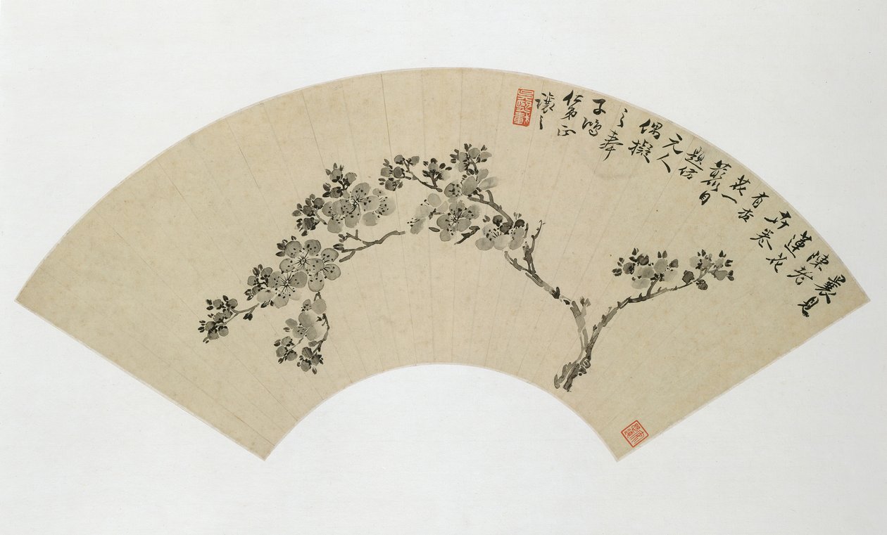 Albaricoque, siglo XIX de Wu Xizai