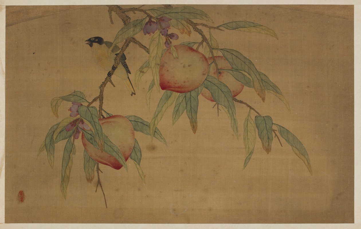 Pájaro, fruta y flores de Wu Zhang