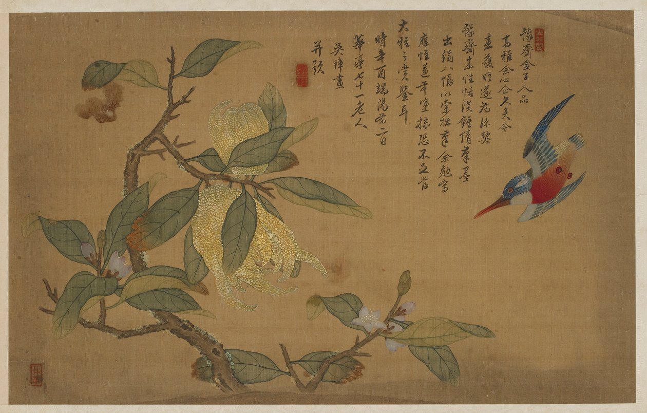 Pájaro, fruta y flores, dinastía Qing, 1741 de Wu Zhang