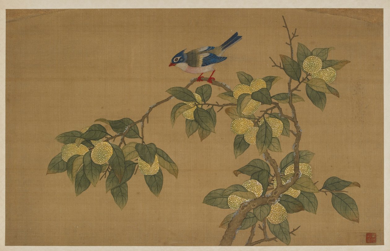 Pájaro y Fruta de Wu Zhang