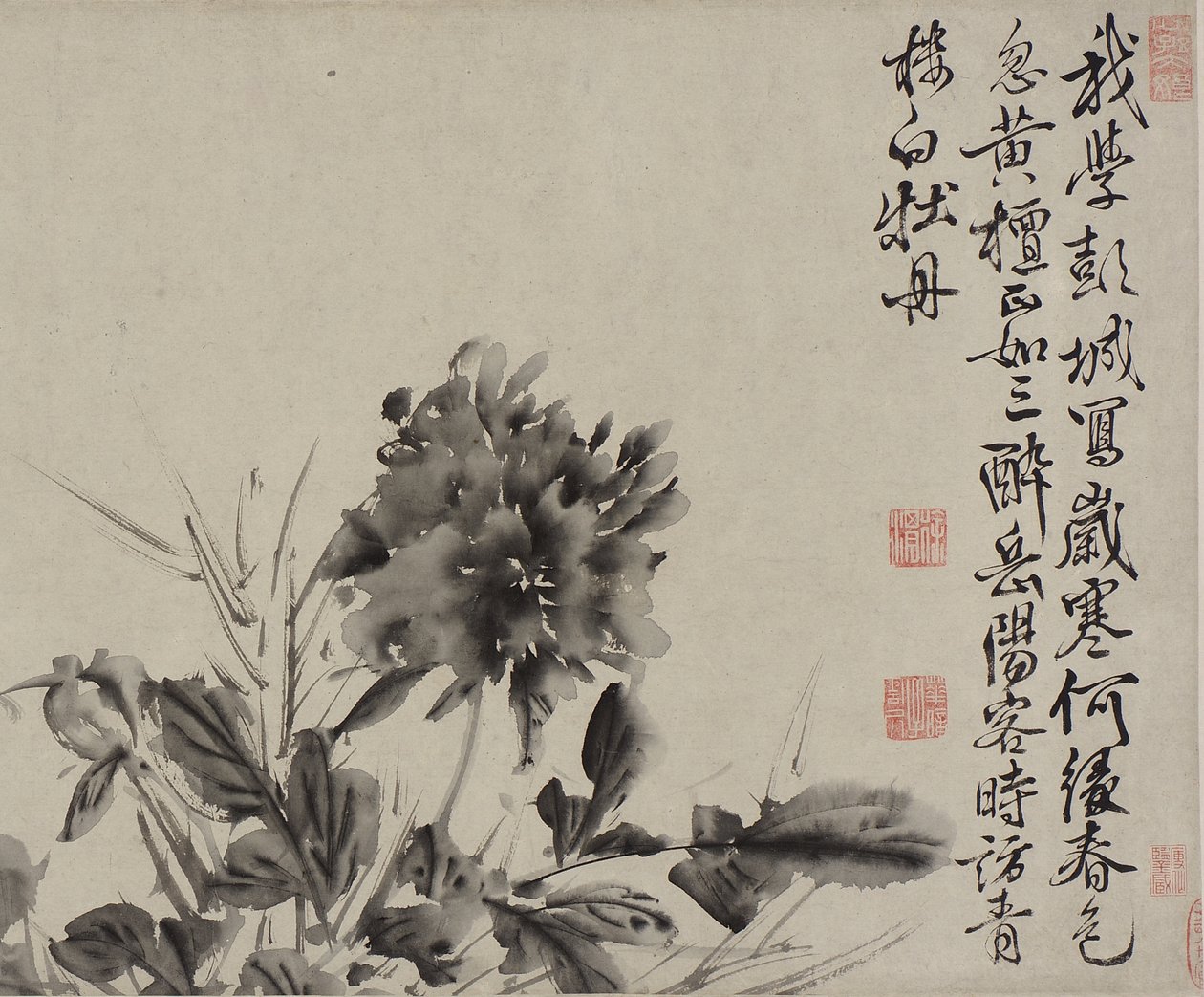 Doce flores y poemas, dinastía Ming de Xu Wei