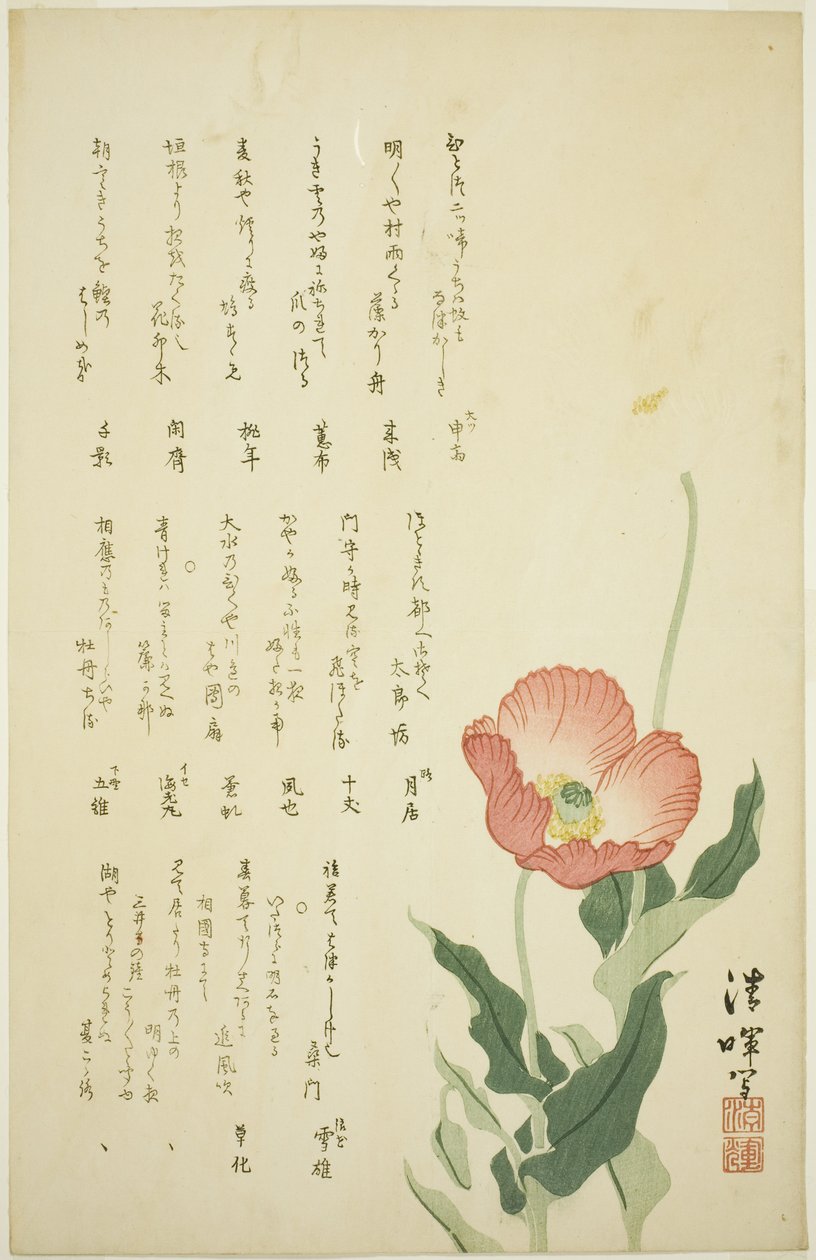 Dos amapolas de Yokoyama Seiki
