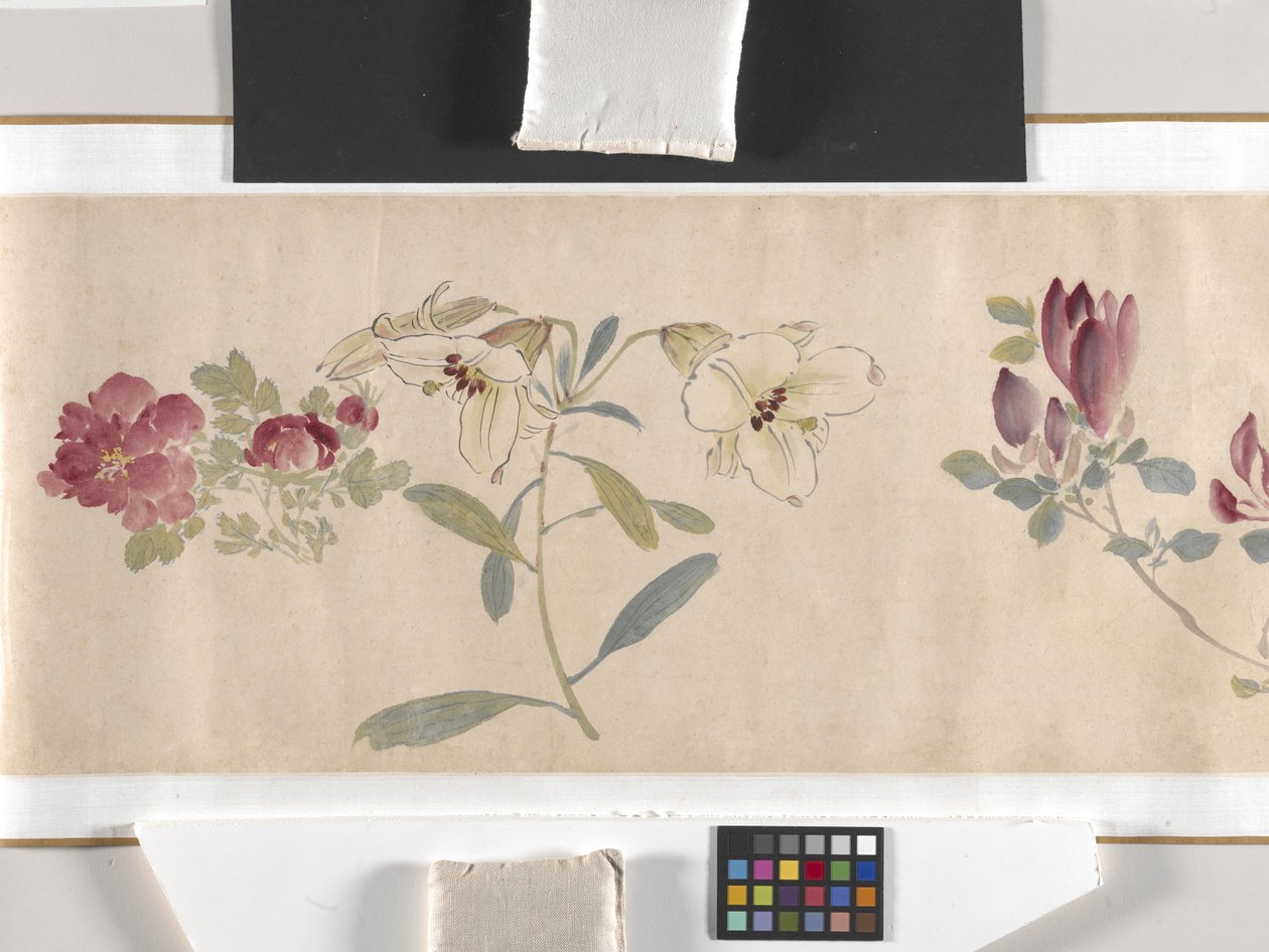 Flores de colores de Zhimian Zhou