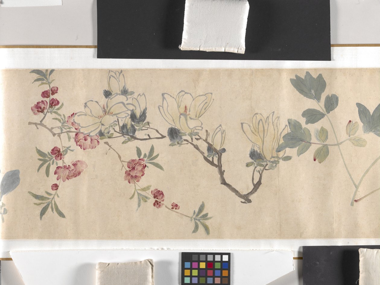 Flores de colores de Zhimian Zhou