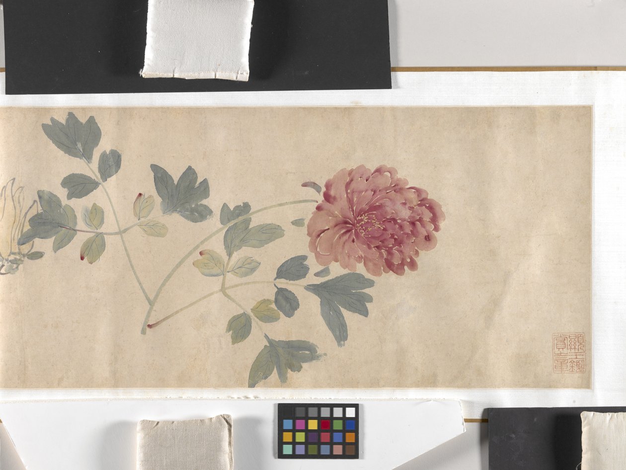 Flores de colores de Zhimian Zhou