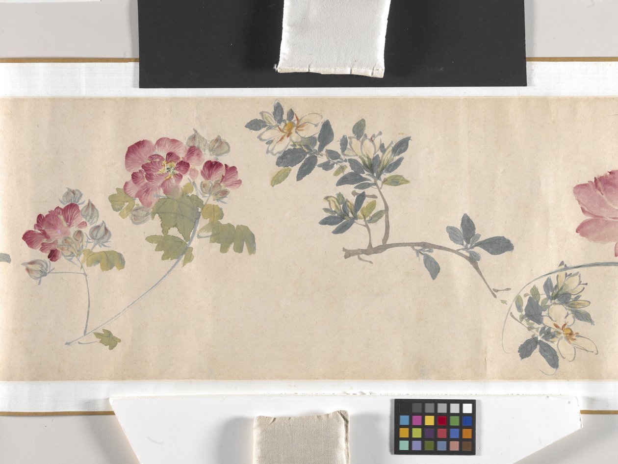 Flores de colores de Zhimian Zhou