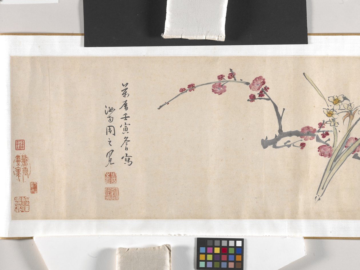 Flores de colores de Zhimian Zhou