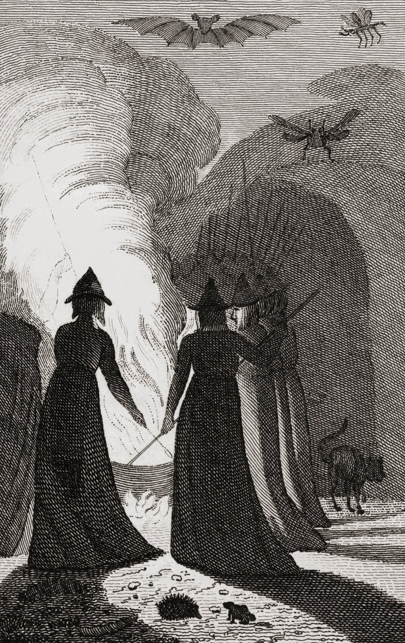 Un aquelarre de brujas alrededor de un caldero de . .