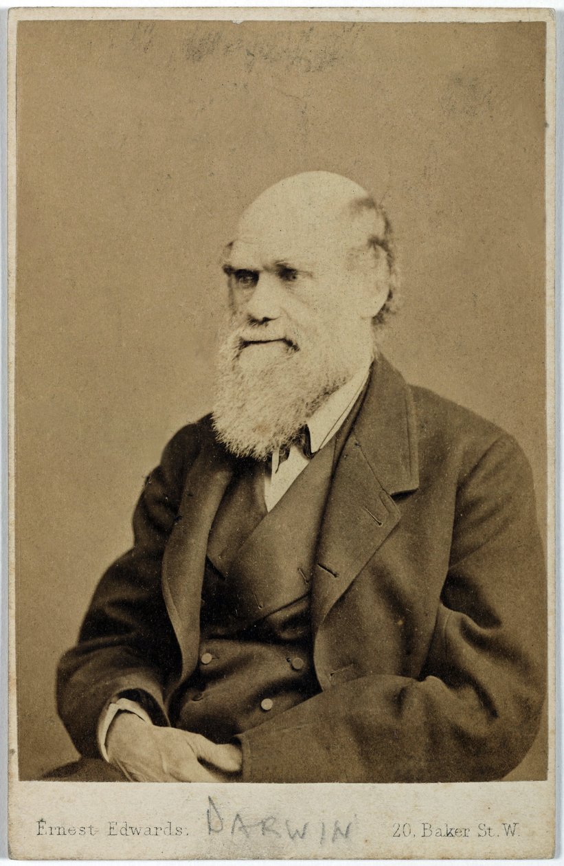 Charles Darwin, naturalista inglés, c. 1870s de Ferdinand Georg Waldmuller