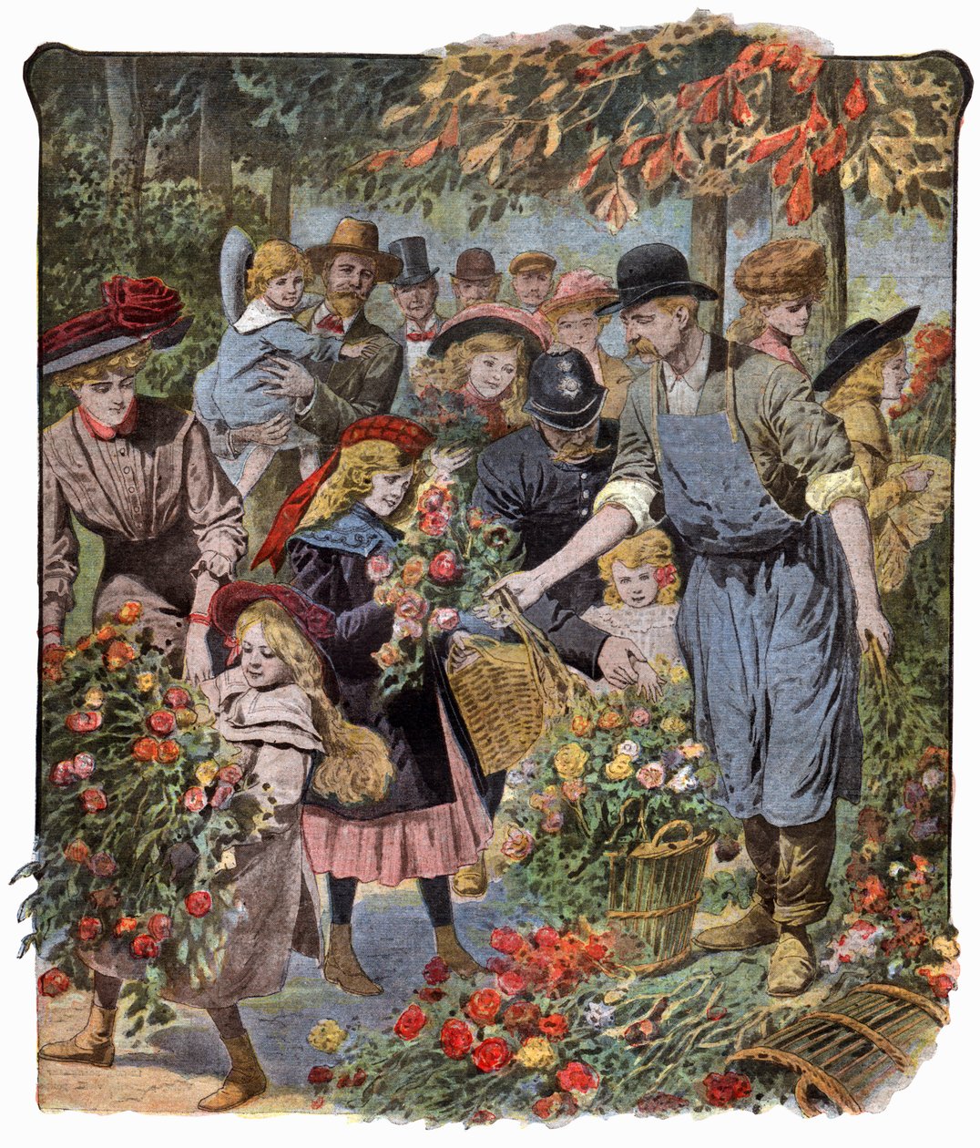 Distribución de flores de . .