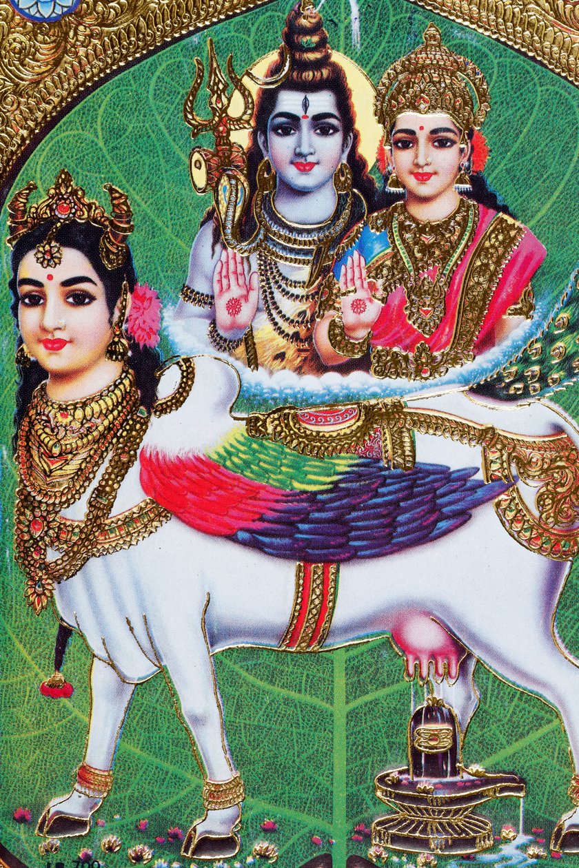 Dios hindú Shiva y diosa Parvati. de . .