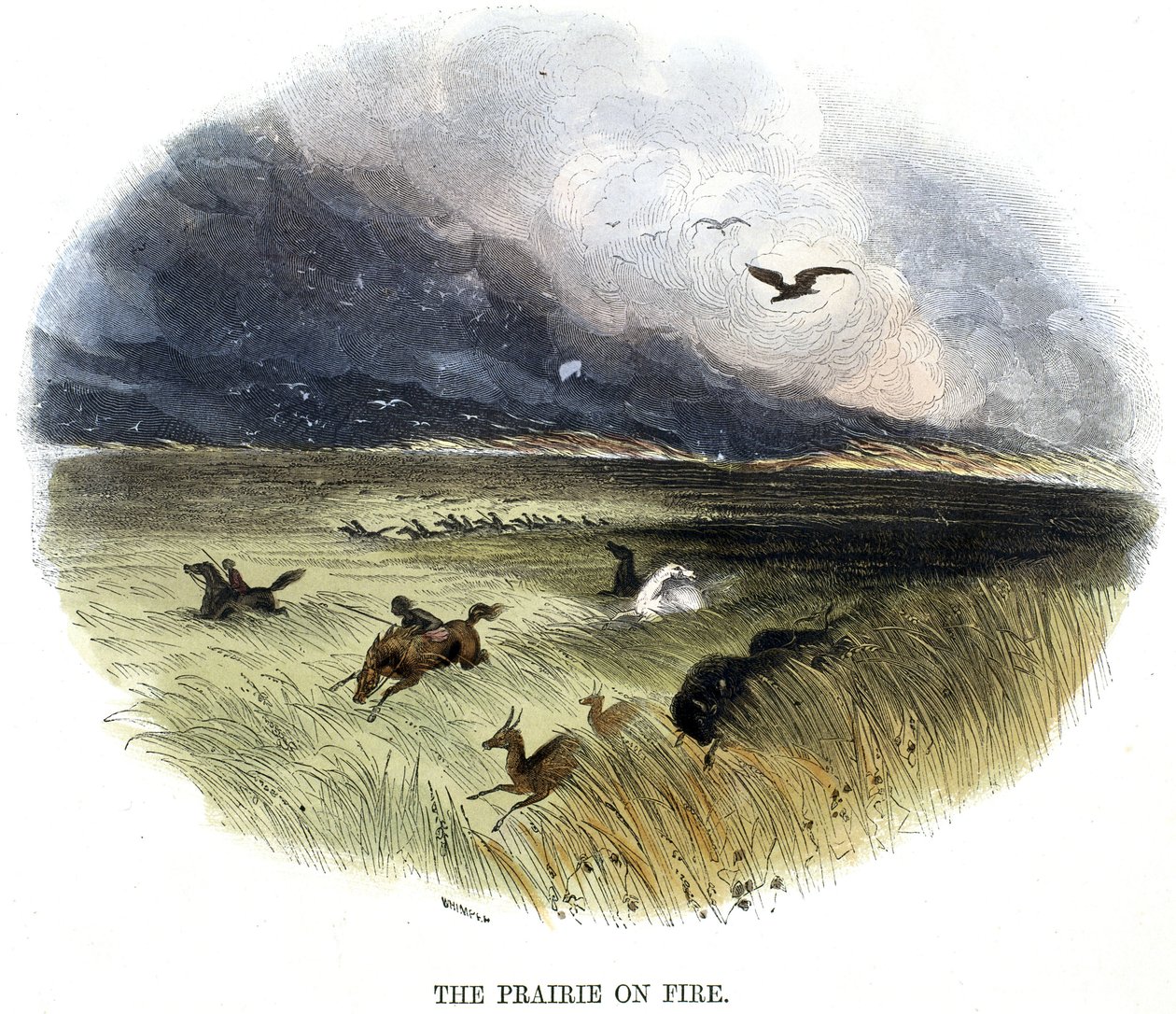 Pradera en llamas de Frederick (attr. to) Barnard