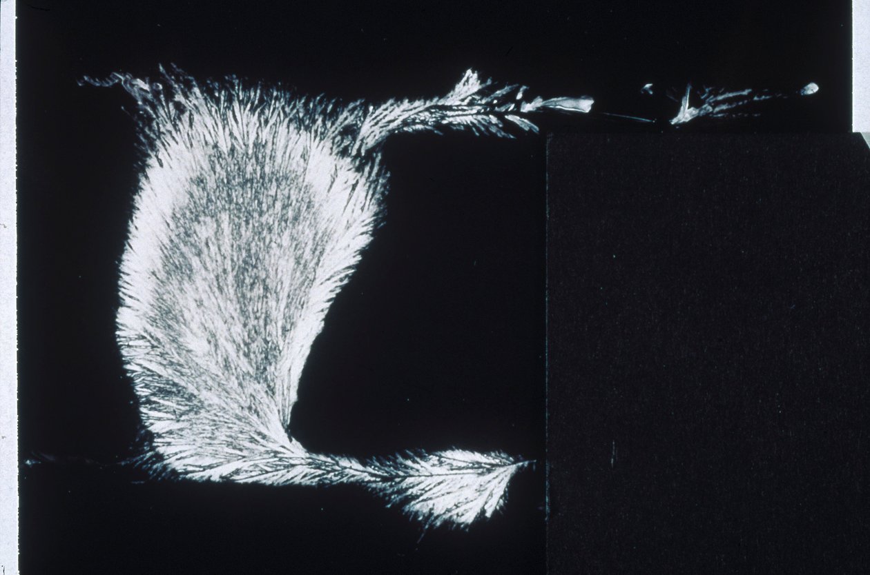 SILICATOS, LM Silicato de sodio de Frederick (attr. to) Barnard