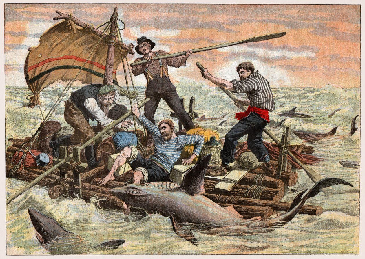 Ataque de tiburones de . .