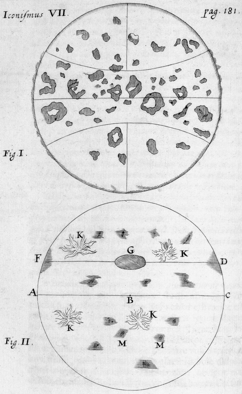 Manchas solares de Frederick (attr. to) Barnard