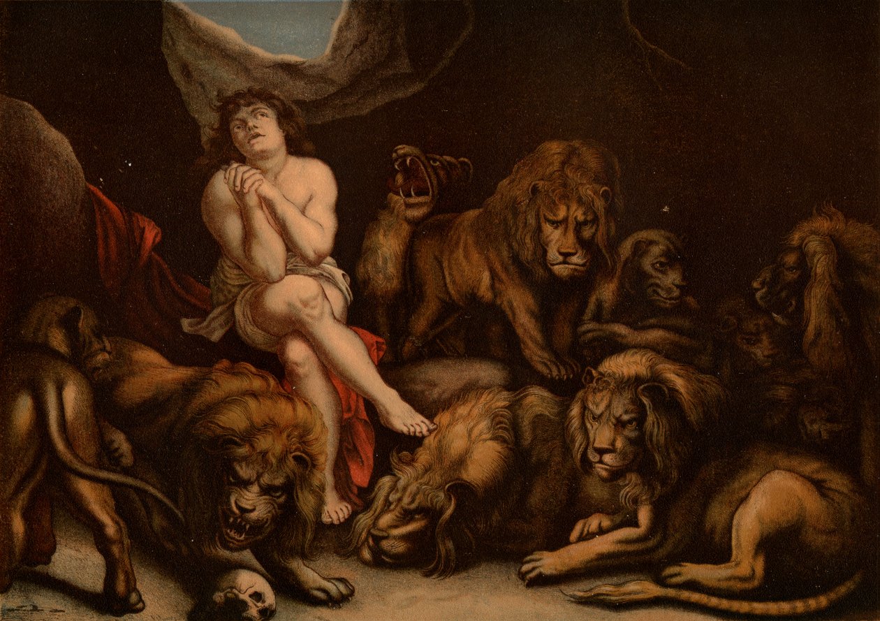 Daniel en el foso de los leones de after Peter Paul Rubens