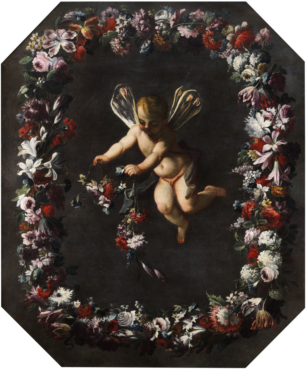 Putto con alas de libélula en una corona de flores de attributed to Giovanni Stanchi Dei Fiori