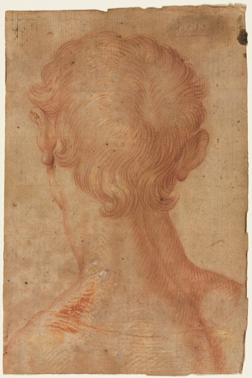 Cabeza de Hombre desde Atrás de copy after Agnolo Bronzino