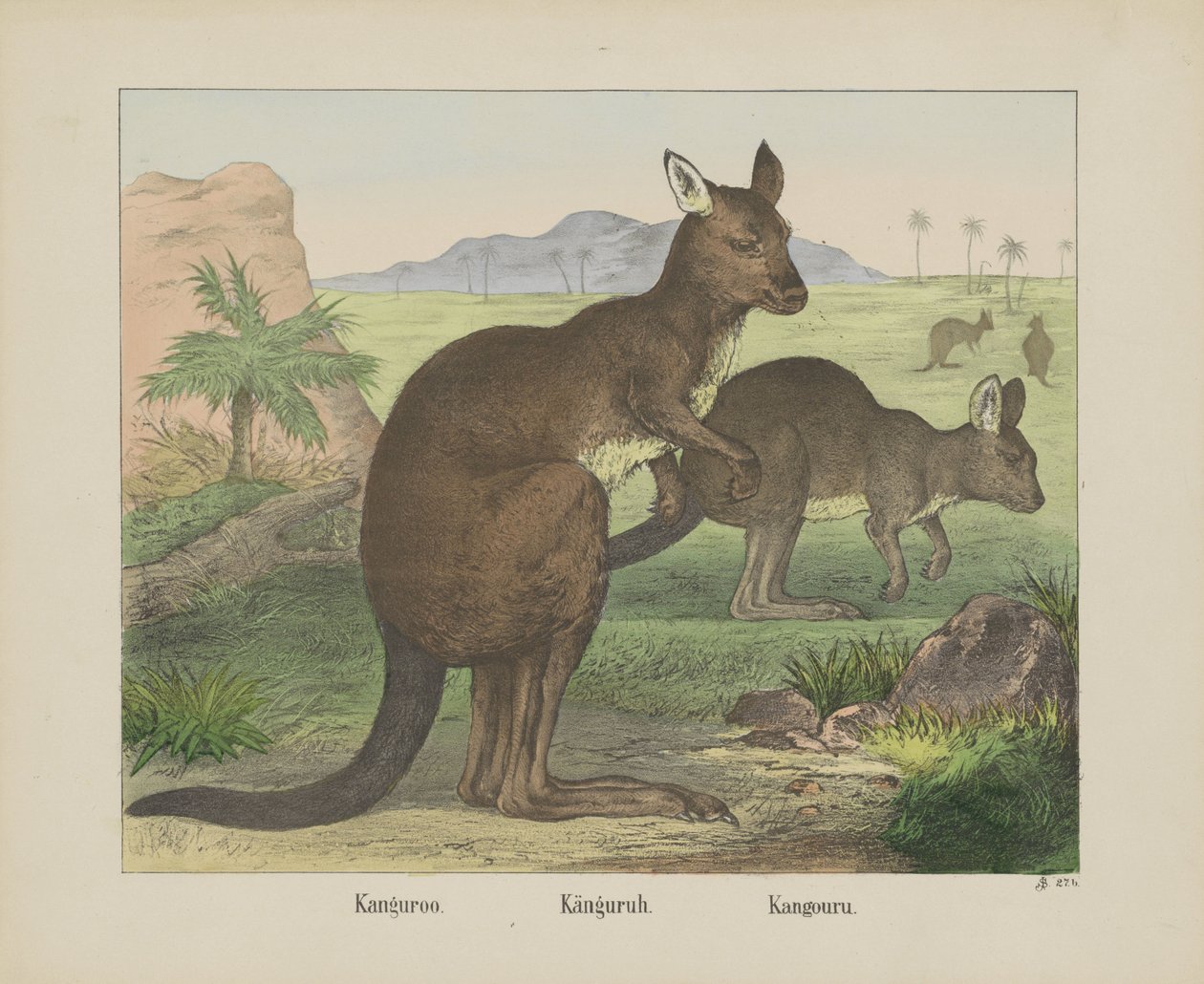 Kanguroo / Canguro / Kangouru (título en el objeto) de firma Joseph Scholz