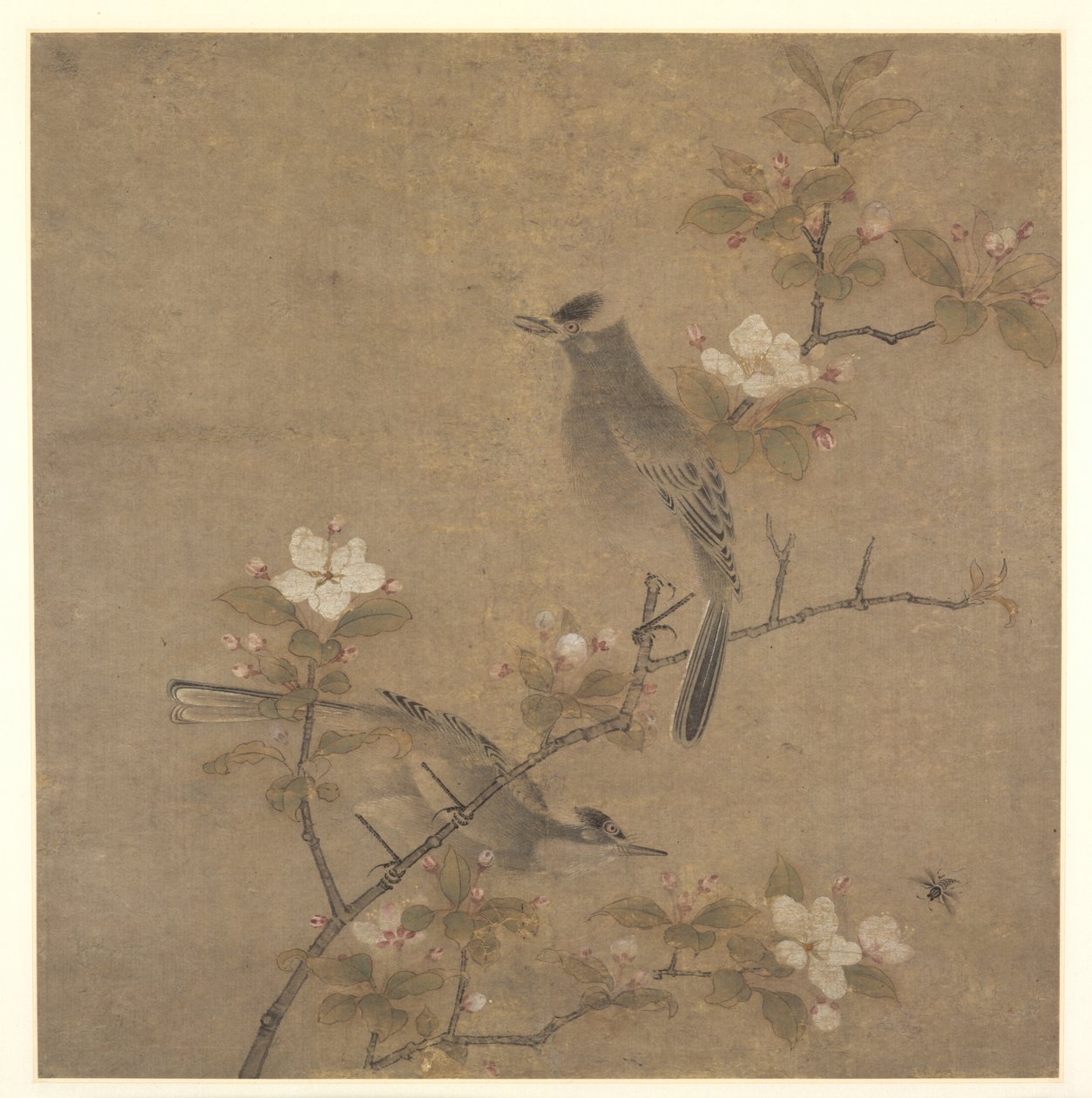 Flowers and Birds de style of Qian Xuan