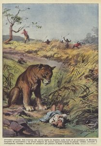 Aventuras africanas