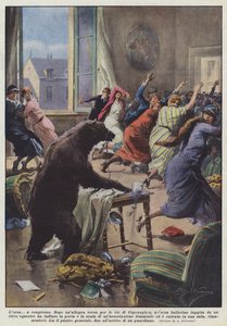 El oso en congreso