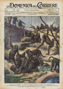 Una guerra de monos